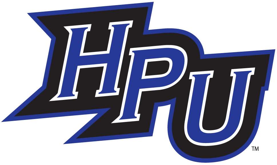 High Point Panthers 2004-2011 Alternate Logo v4 iron on transfers for clothing
